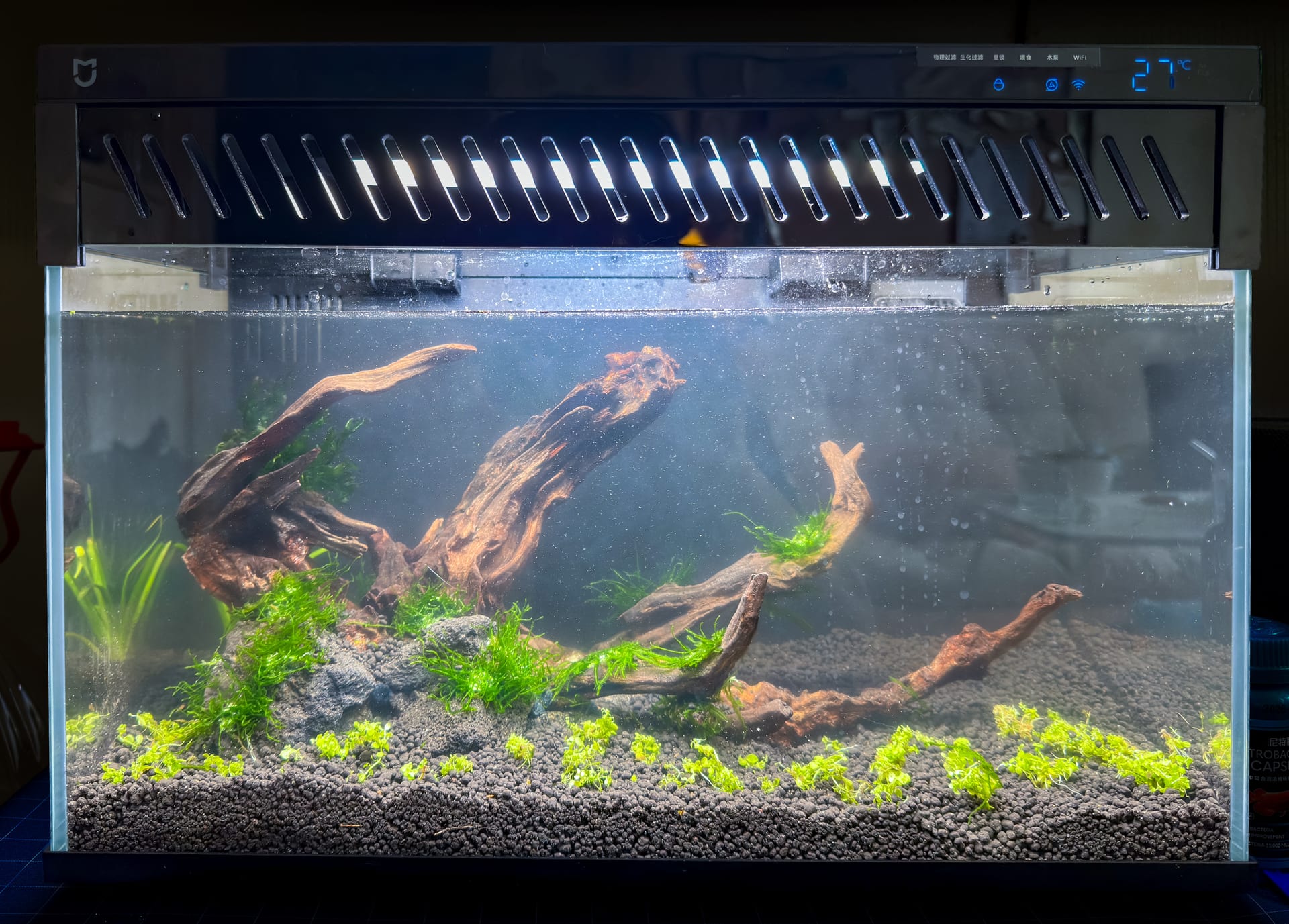 开缸全景:骨架、水草和前景草都还很分明,水体里仍有明显悬浮颗粒。