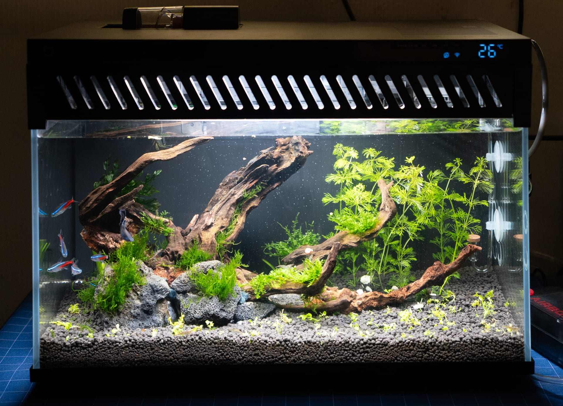 7-23
