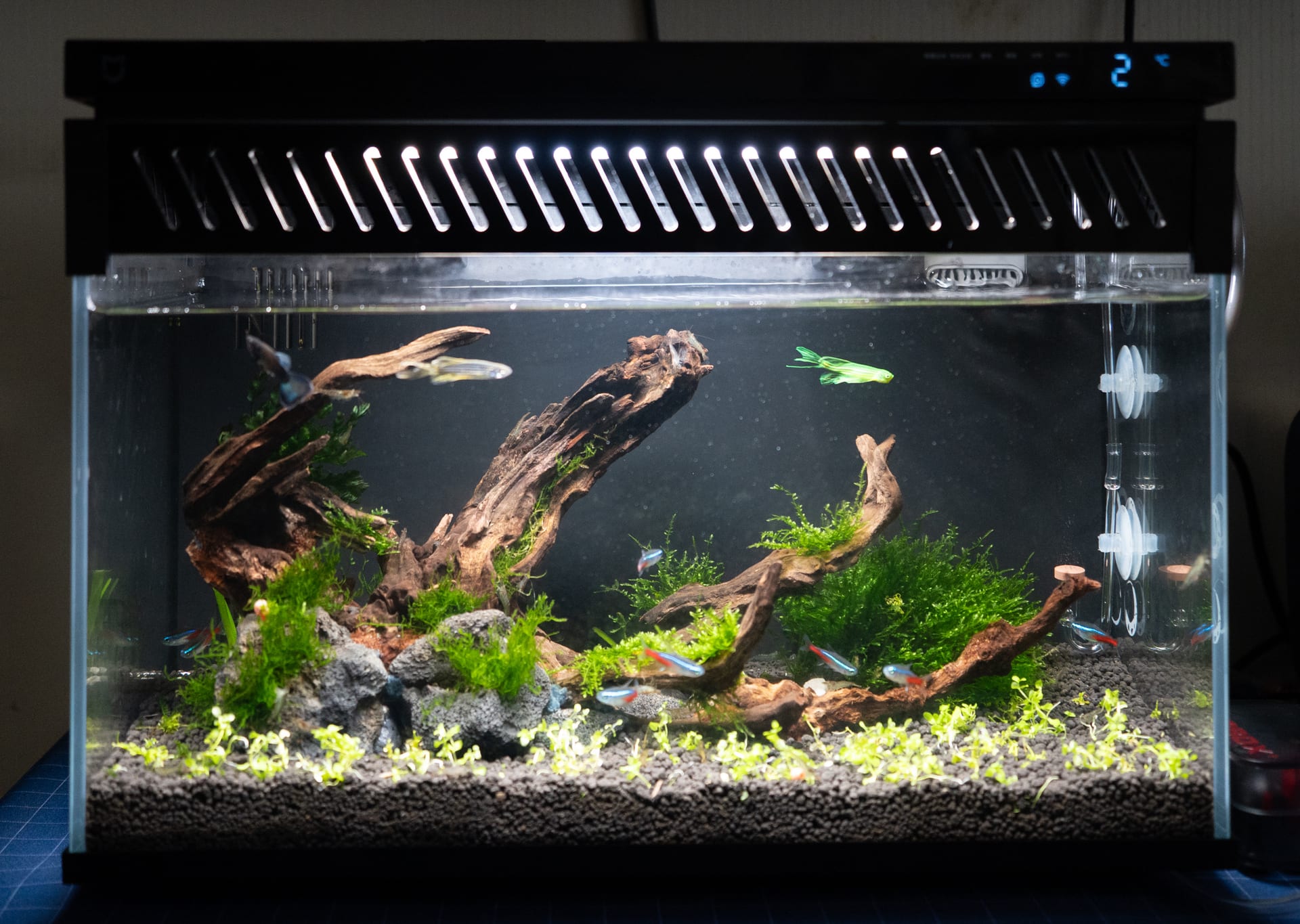 7-26